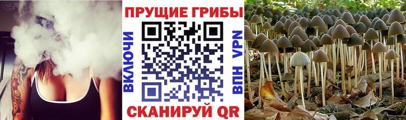 Купить закладки  Дно  Галлюциногенные грибы ЛСД 